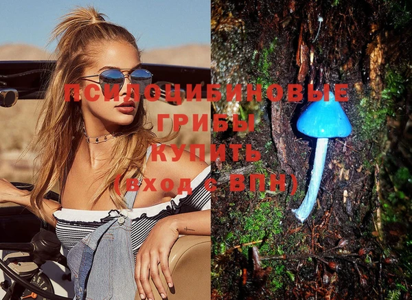 mdma Бородино