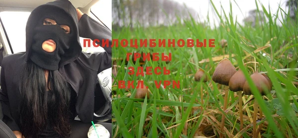 mdma Бородино