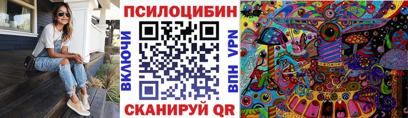 Галлюциногенные грибы Cubensis  закладки  Венёв 